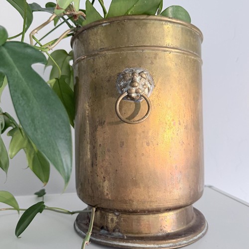 Large brass lion head planter - lion,