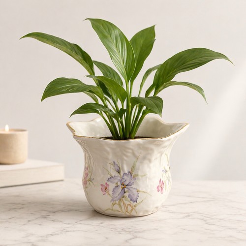 Vintage genuine bone china - vintage,